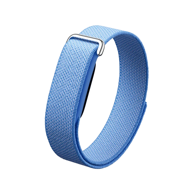 Google Fitbit Air Lavender