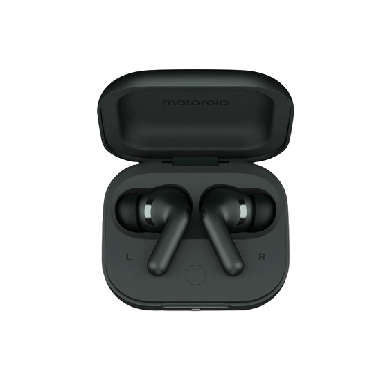 Motorola Moto Buds+ Darkest Spruce